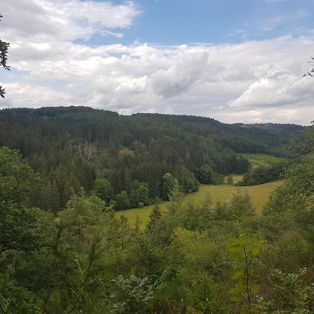Altes Schreiner Haus In Der Vulkaneifel Brockscheid Eksteriør billede